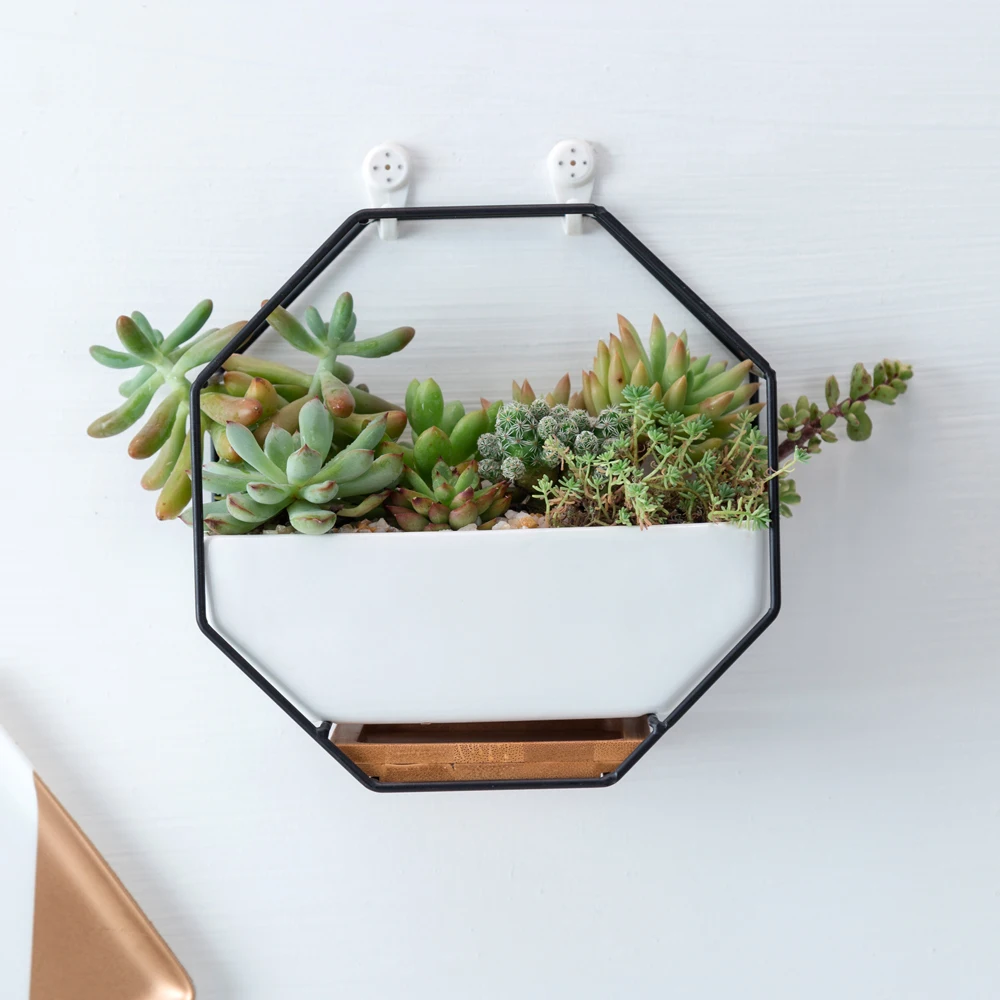 Настенный Настольный плантатор черный золотой подвесной Плантатор суккулентные