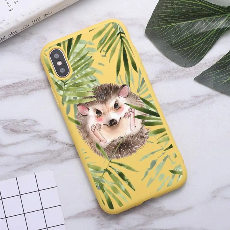 

Hedgehog lovely cartoon animal Phone Case Candy Color for iPhone 6 7 8 11 12 s mini pro X XS XR MAX Plus
