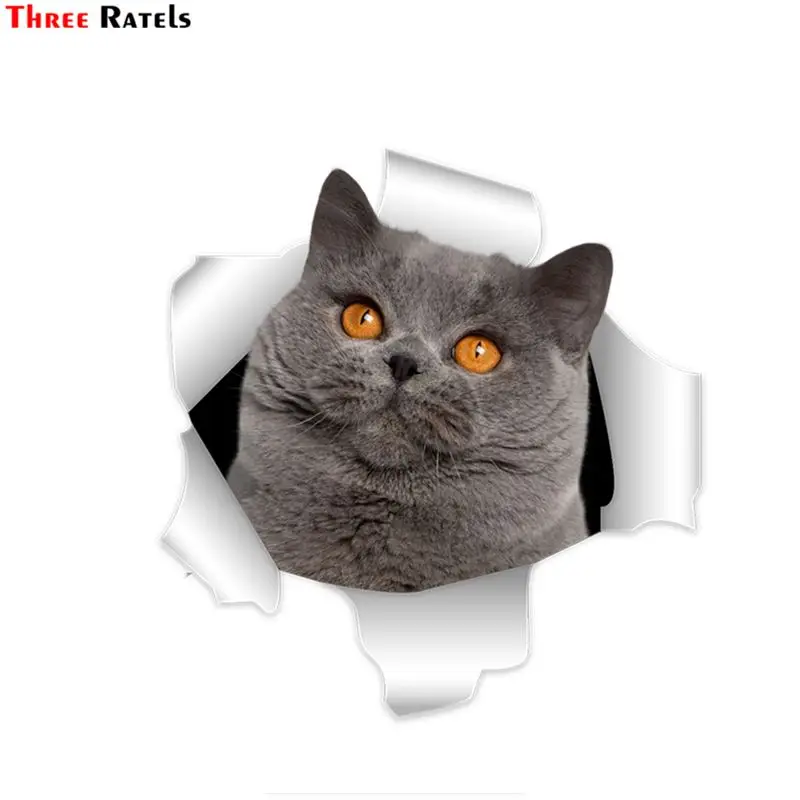 

Three Ratels C300 милый 3D Британский короткий Кот Наклейка на стену для детской комнаты наклейка на кузов автомобиля