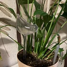 Прозрачная автоматическая лампа для полива цветов, устройство для автоматического капельного орошения домашних садовых растений, в форме птицы