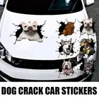 3d-наклейка на заднее стекло автомобиля, с рисунком собаки