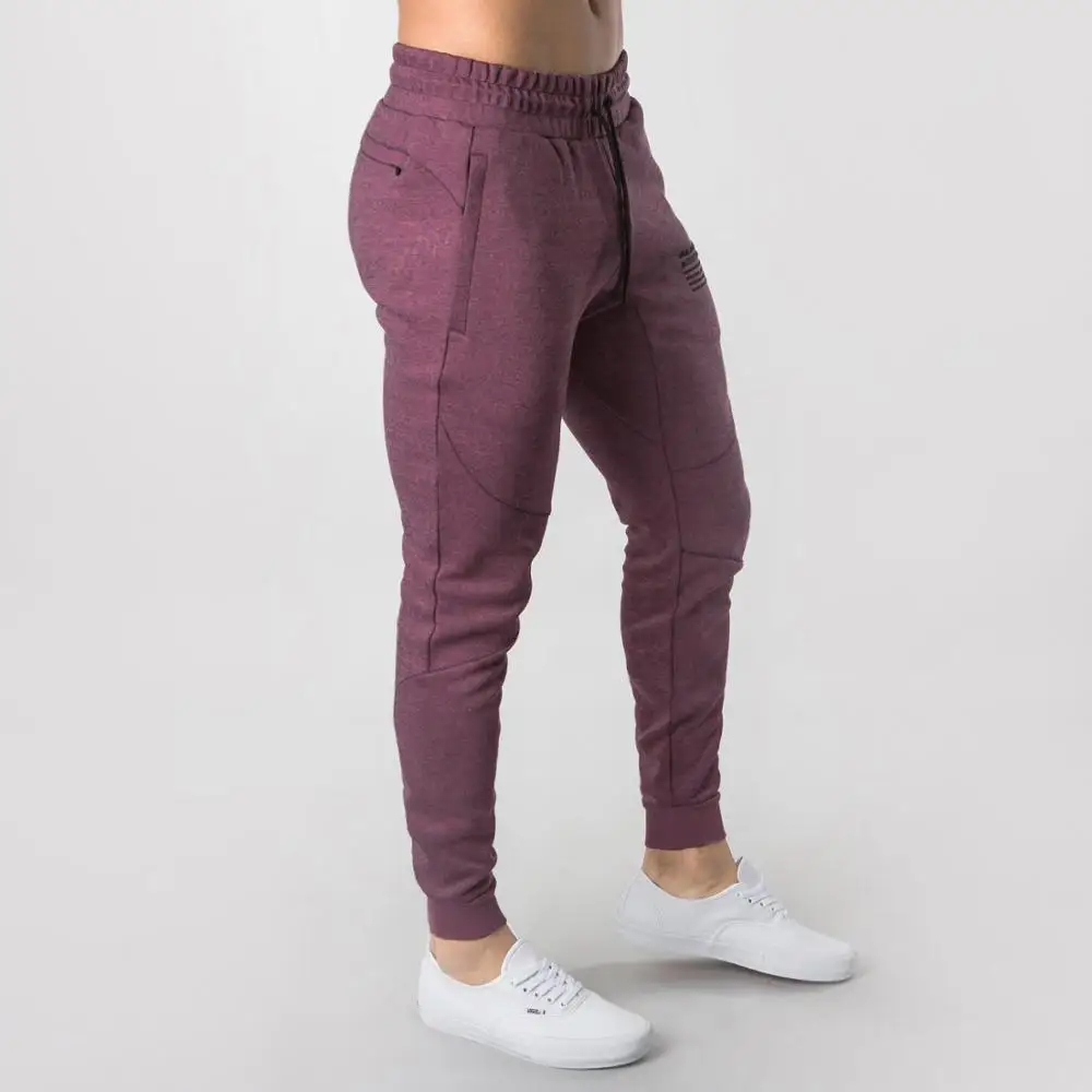 Бренд ALPHALETE осенне-зимние штаны для фитнеса мужские спортивные модные хлопковые