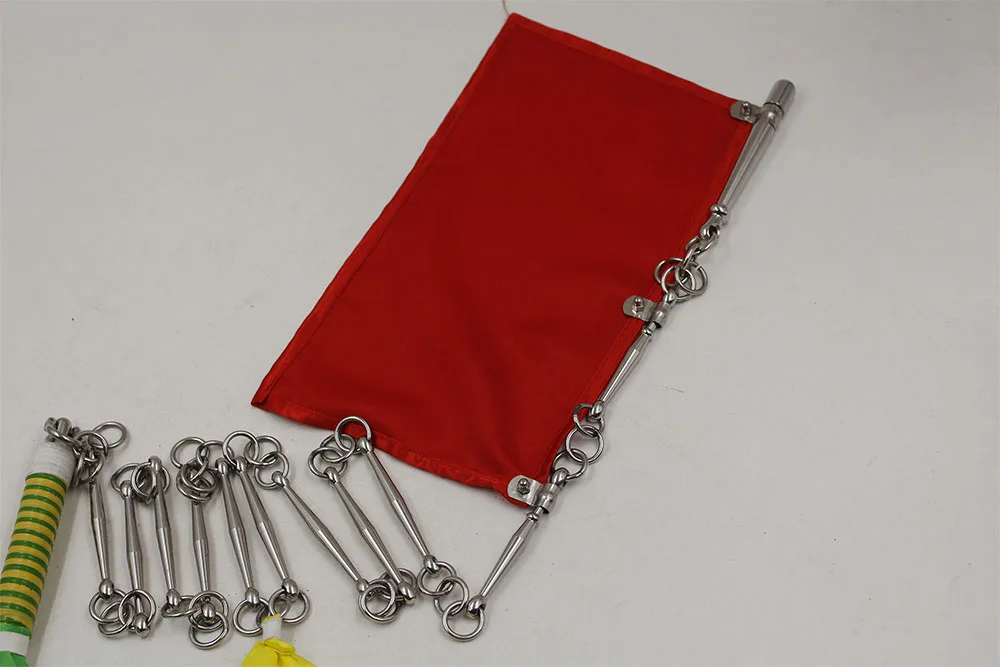 Боевые искусства Eleven разделе кнут кунг фу Нержавеющая сталь учебно средство