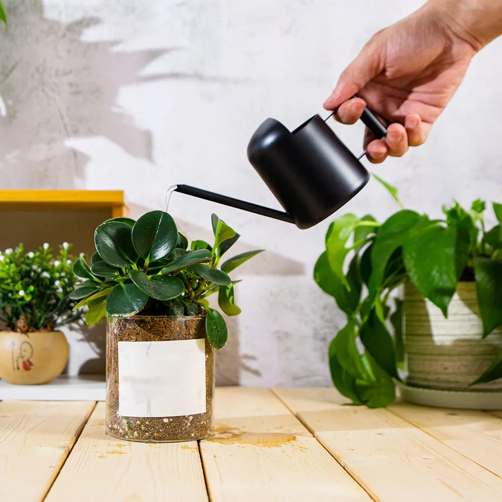 

Stainless Steel Watering Pot Gardening Potted Small Watering Steel Bronze For Kids Can Use Handle Watering Flower Plants Garden