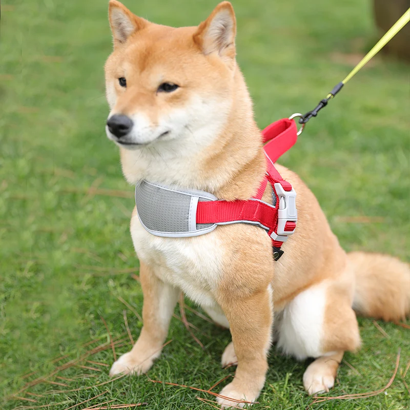 Средний очень маленькая шлейка для больших собак жилет изящный защитный чехол