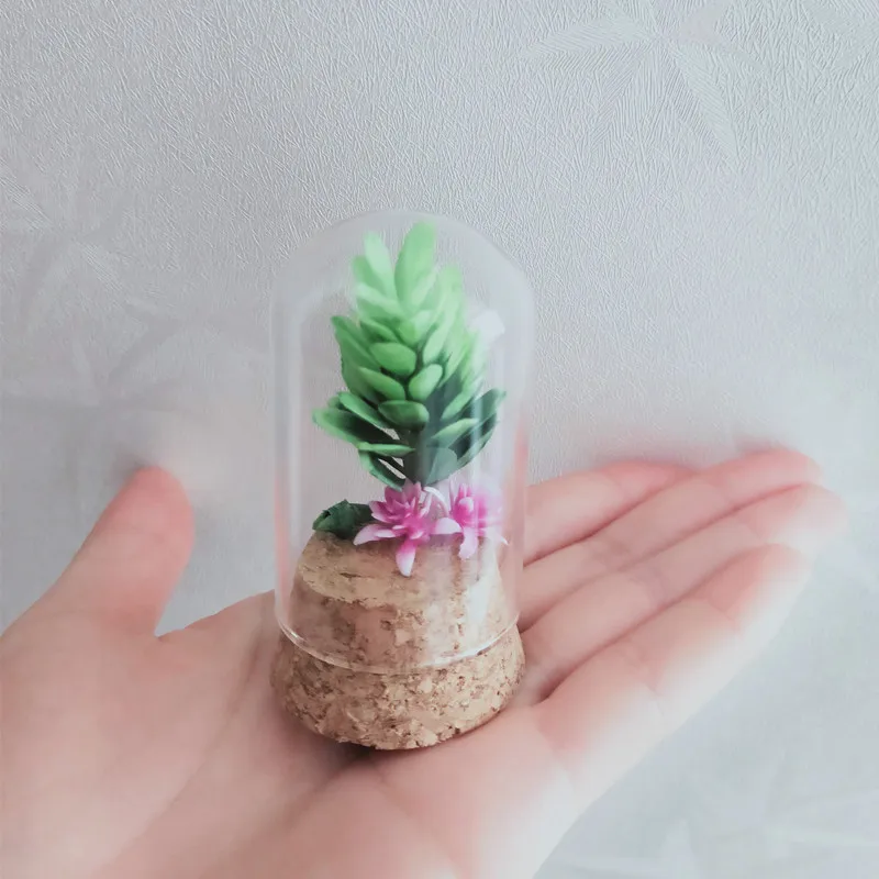 

12sets/pack 3.7*8cm Mini Size Cork Base Glass Dome Home Decoration Dry Flower Bottle DIY Tube Cover