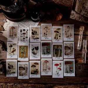 30 шт. тайный лес наклейки для скрапбукинга Diy Дневник этикетка наклейки Канцтовары для альбом ремесло планировщик декоративная наклейка