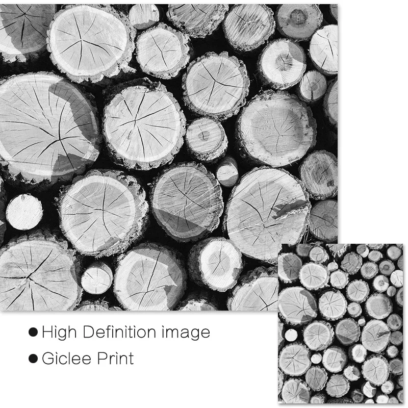 Черно белое дерево кольца печать Приключения путешествия вдохновляющие цитаты