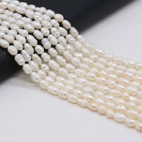 natural freshwater white pearl round beads exquisite loose bead for jewelry making diy charm bracelet necklace accessories 5 6mm