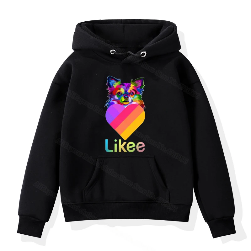 Свитшот детский с капюшоном осень-весна | Женская одежда