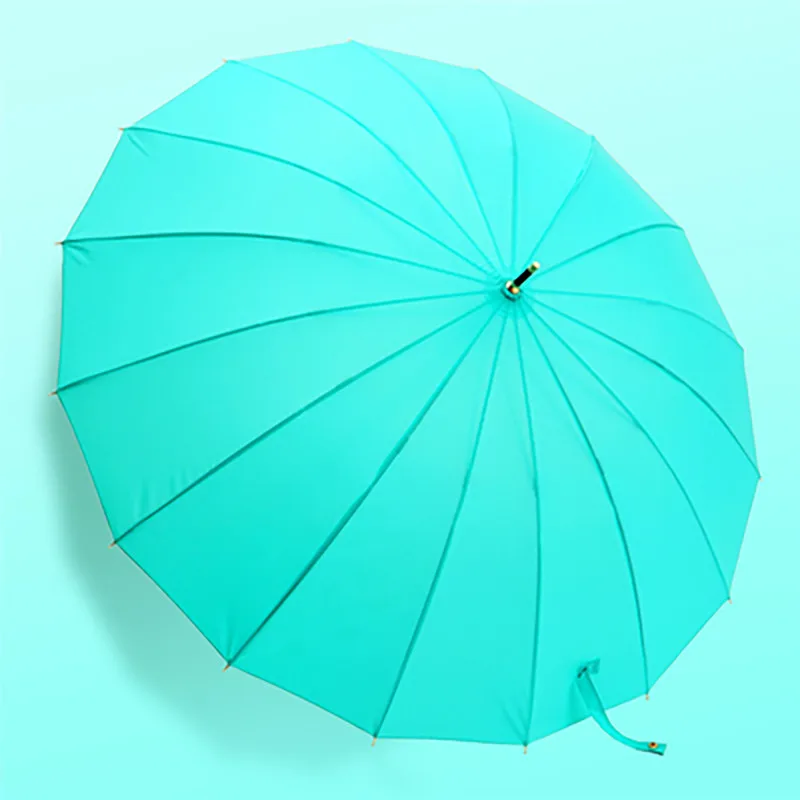 Curved Light blue Женский Ветрозащитный Зонт от дождя женский зонтик с длинной ручкой двойной складной зонтик De Mujer зазор 50RR069 - Цвет: Curved Light blue