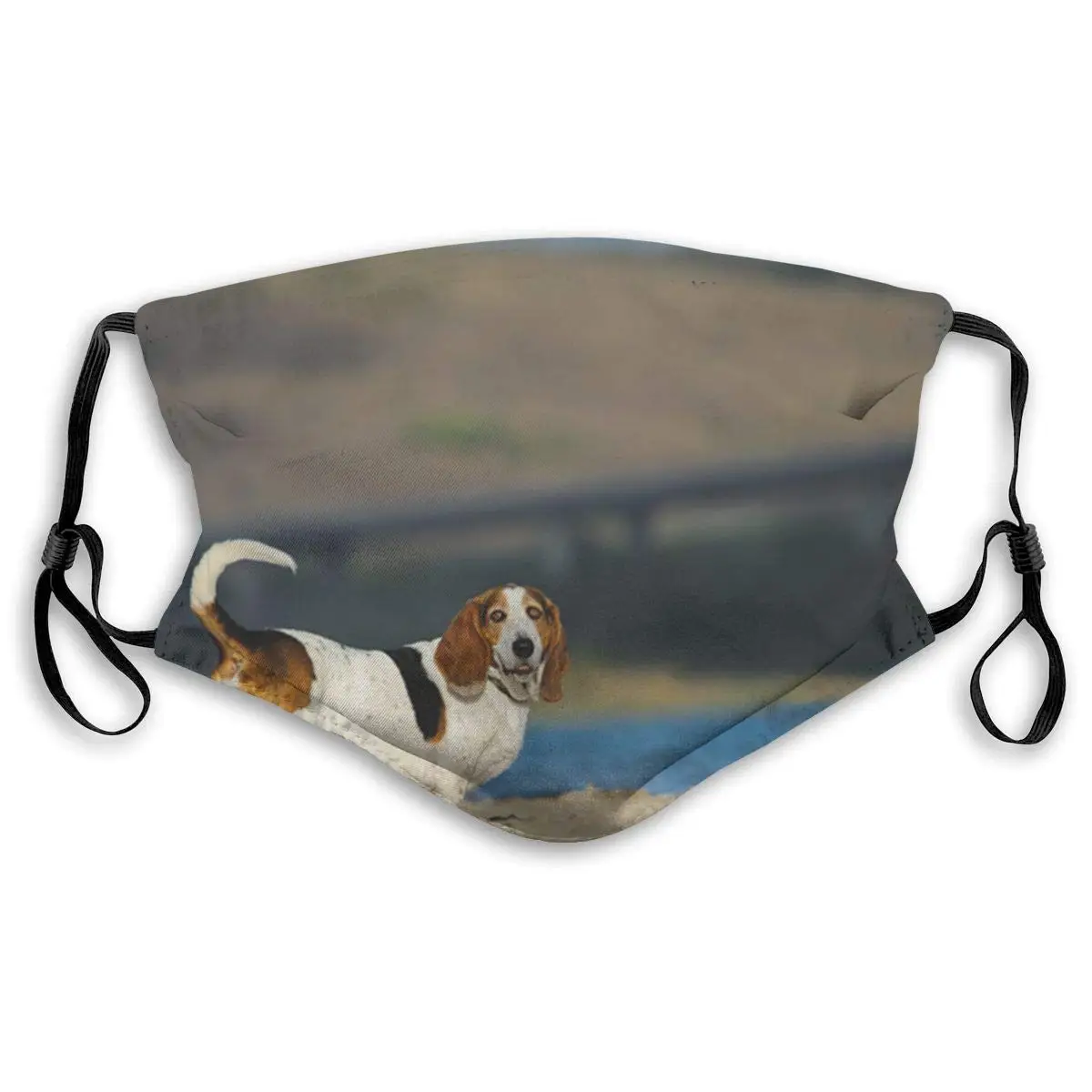 

Lovely Basset Hound (16) Face Mask Animal Reusable Adjustable Balaclava Bandana Cloth With 2 Filters For Men And Women Outdoors