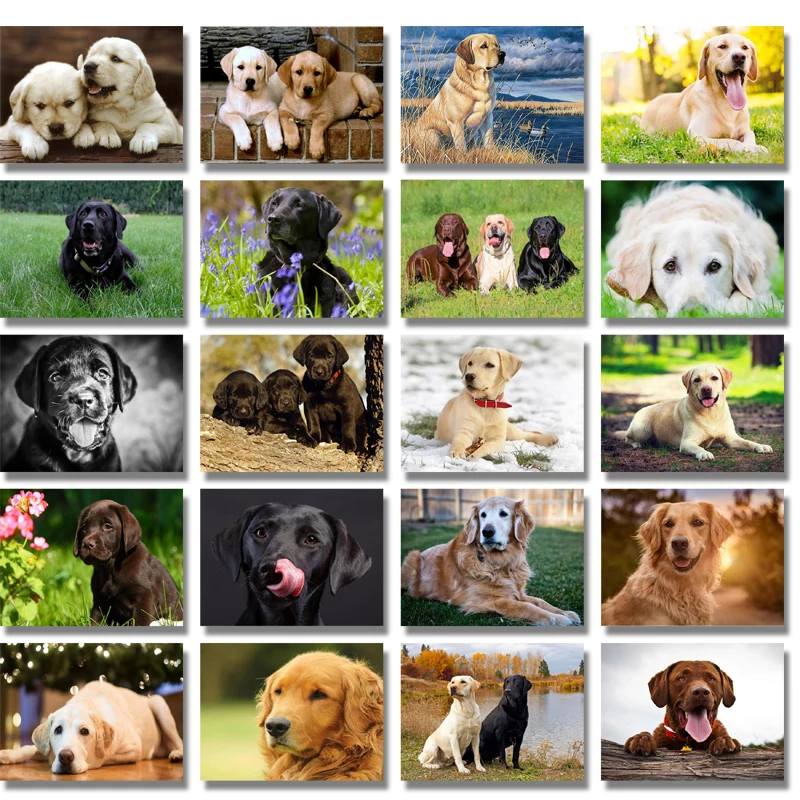 Алмазная живопись лабрадором 5d своими руками картина для питомцев вышивка