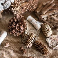 gift of forest fruit decoration diy pine cone bunge pine cone branches chinese cinnamon zakka props