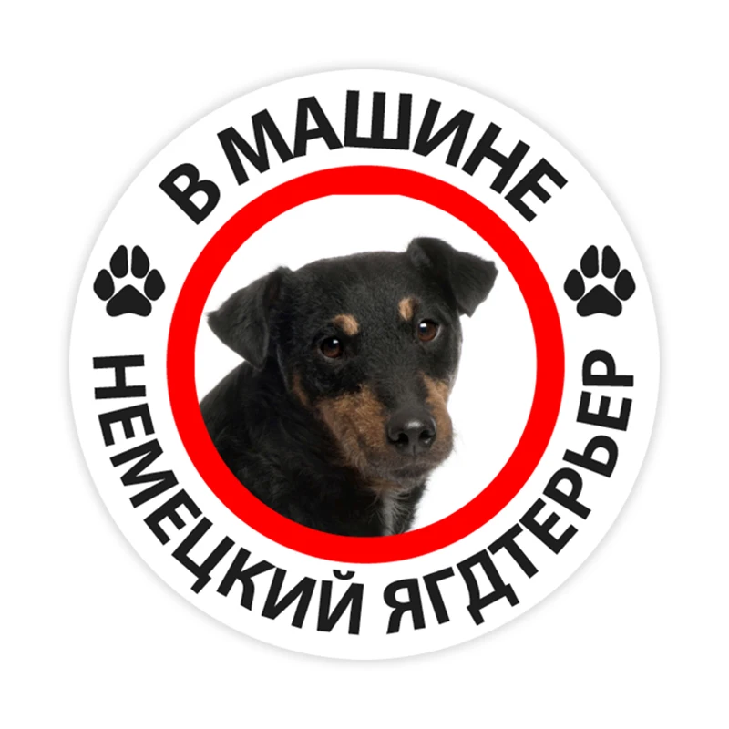 

Dawasaru German Jagdterrier In The Car Self-adhesive Decal Car Sticker Waterproof Auto Decors on Bumper Rear Window,15cm
