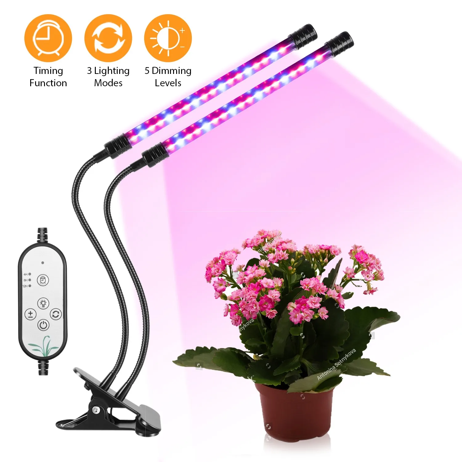 

LED Grow Light Full Spectrum Phytolamp for Plants With Clip Dimmable Phyto lamp USB DC 5V 10W/20W/30W/40W Sunlike Growth Light