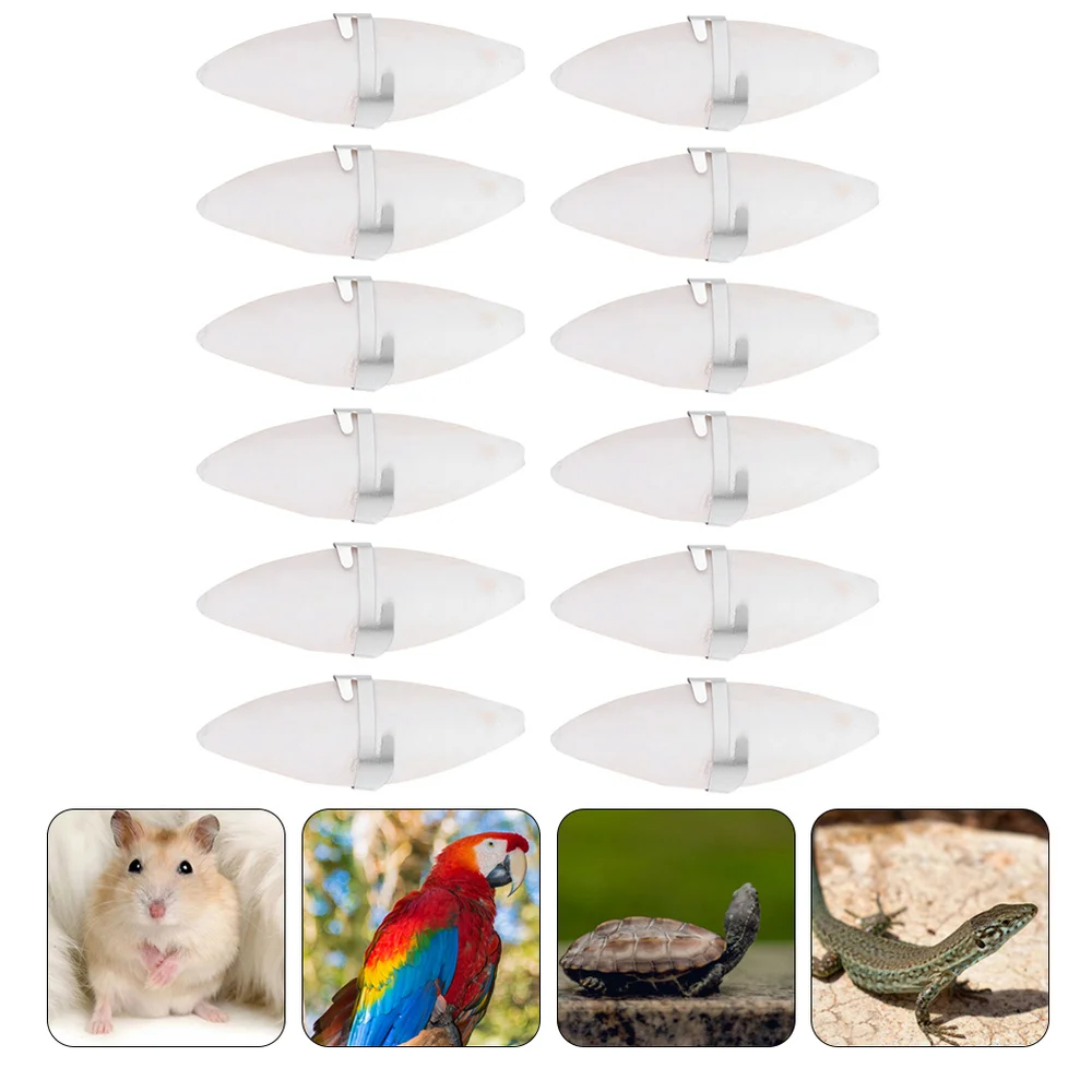

12pcs Pet Chew Grinding Cuttlefish Bone Hamster with 12 Hooks Holder