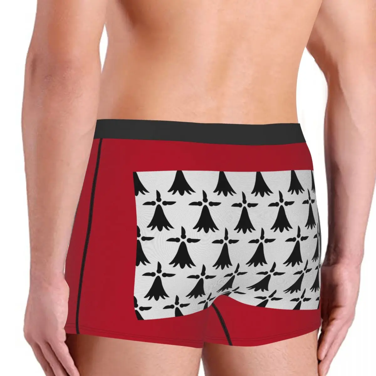 Flag Of Limousin Men's Boxer Briefs Flags of the regions of France Funny Sarcastic elastic pants for men