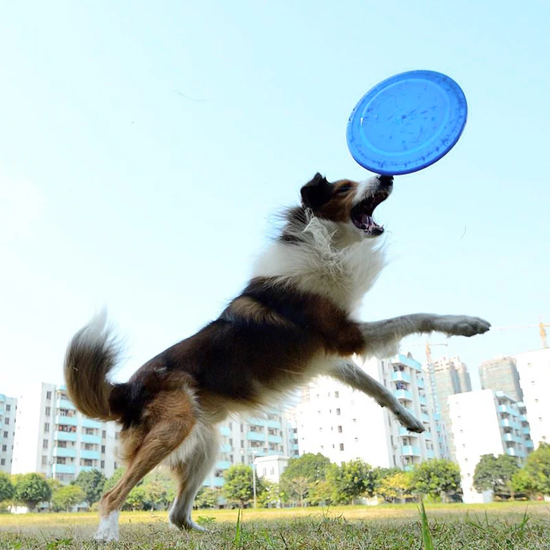 

Yomiga 1pcs Funny Silicone Flying Saucer Dog Cat Toy Game Flying Discs Resistant Chew Puppy Training Interactive Pet Supplies