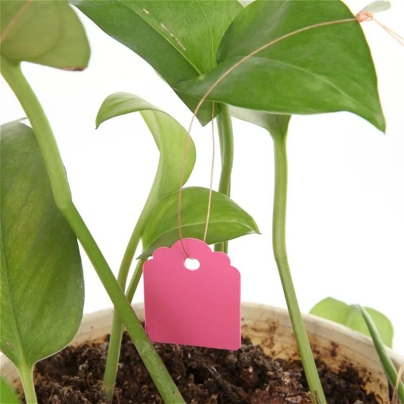 Ярлыки для растений пластиковая этикетка из ПВХ водонепроницаемая подвесная