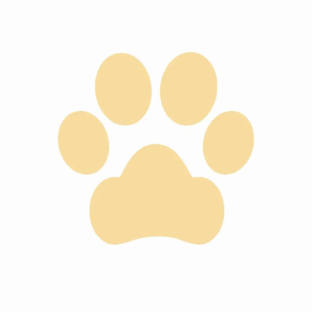 Gold Paw RJ пользовательский любимого питомца, имя, изображение 100 языков I Love you ожерелье кулон кошка собака Лапа кости в форме колье леди Для мужчин ювелирные изделия - Окраска металла: Gold Paw