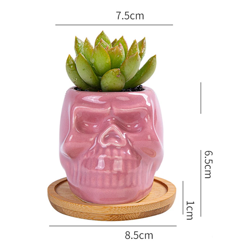 

6 Color Skull Flower Pot Ceramic Succulent Gardening Desktop Thumb Flower Pot Breathable Not Easy to Deform HVR88
