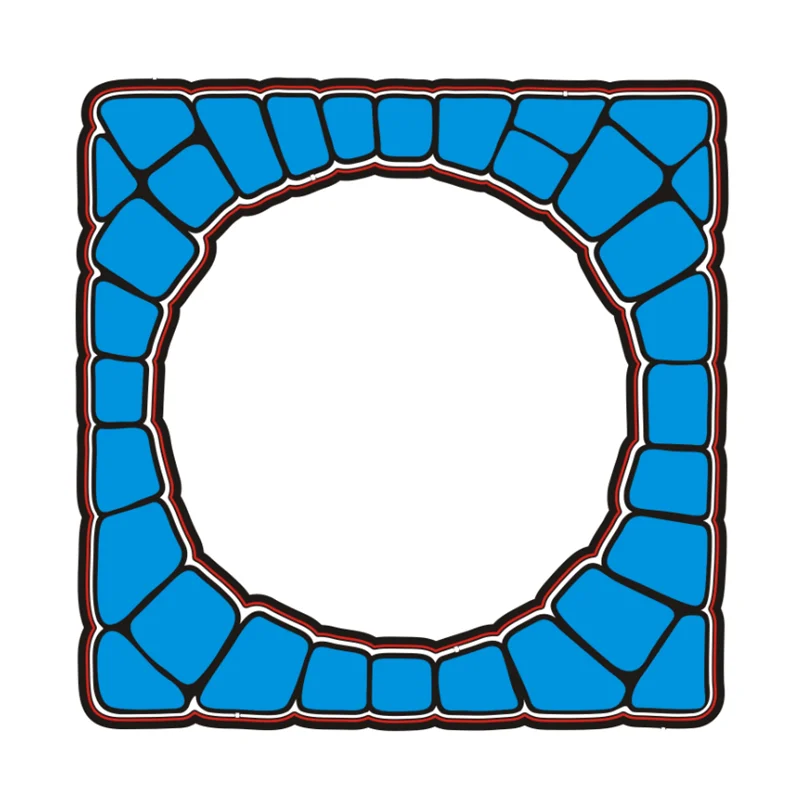 Новинка 2020 г. металлические Вырубные штампы и Скрапбукинг для изготовления