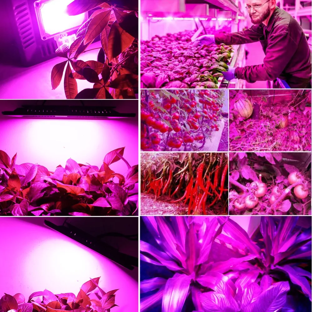 Недорогая тепличная гидропонная светодиодная лампа для выращивания растений 50