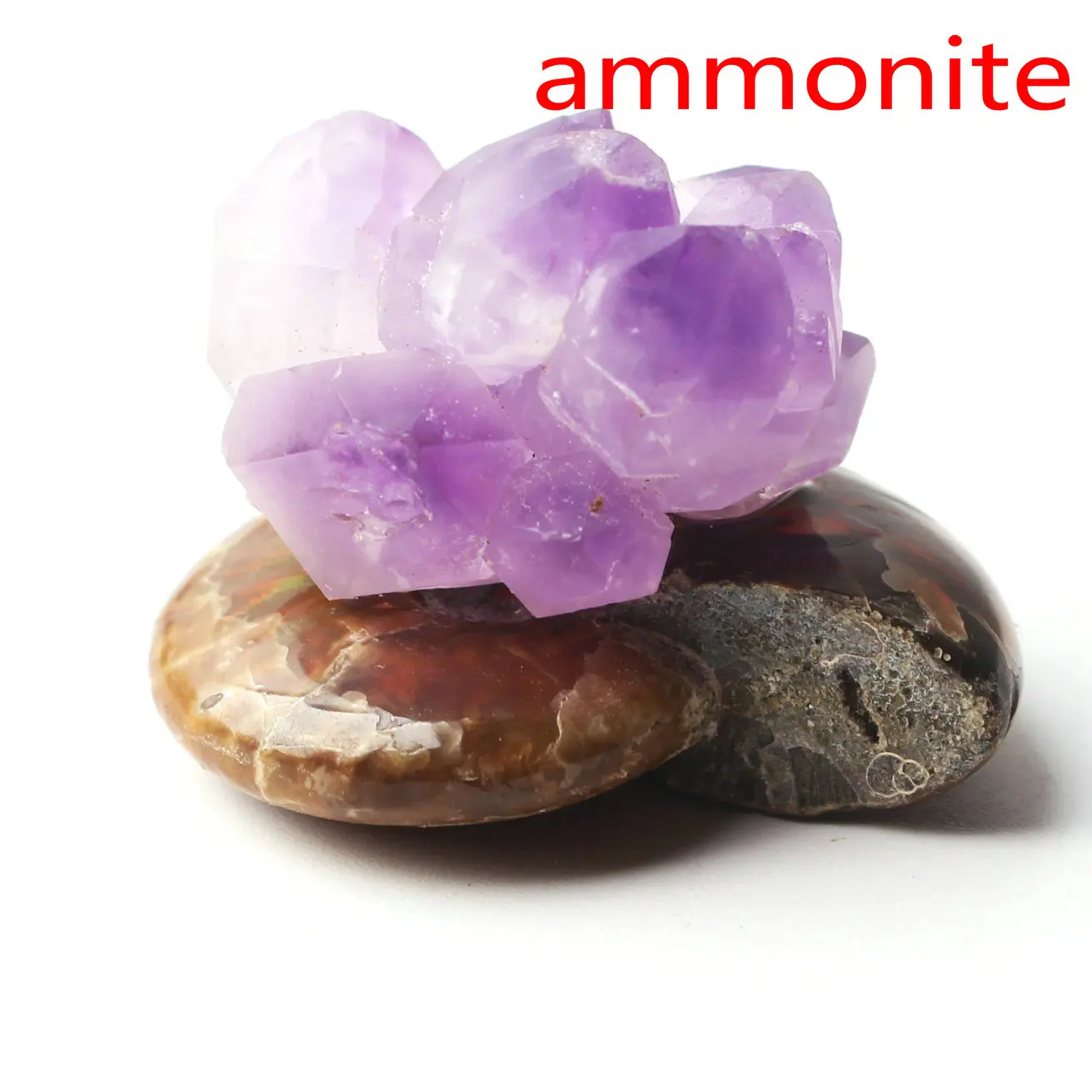 ammonite 1 шт. смешанный природный Аметист Кристалл кластер с рок Грубые каменные минералы образец Рейки Исцеление Декор красочный подарок - Цвет: ammonite