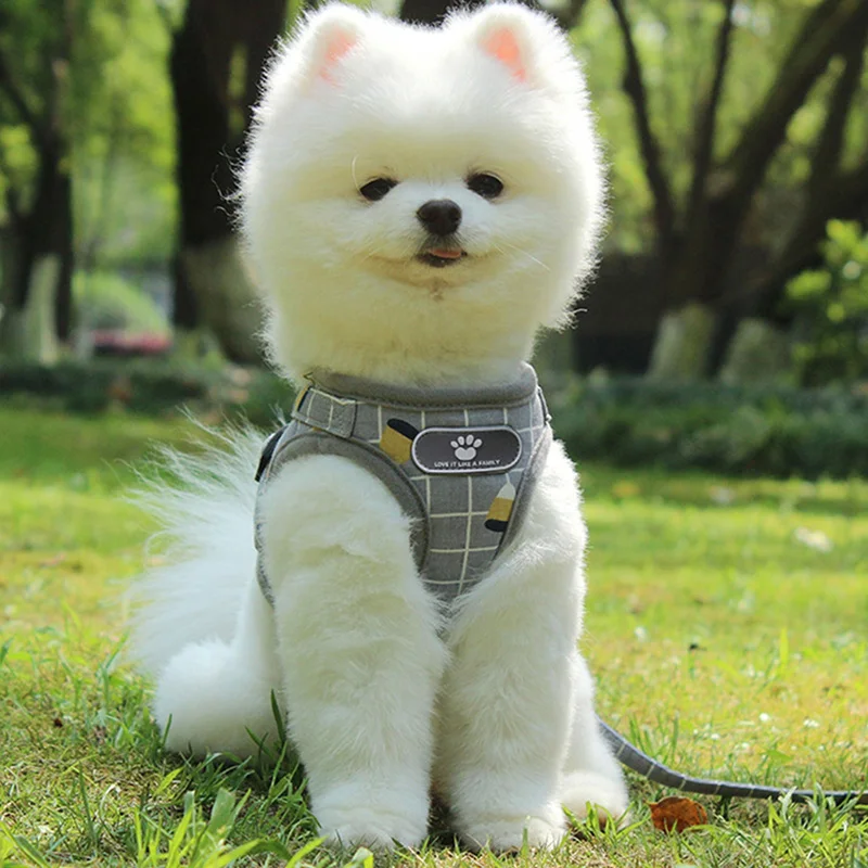 Регулируемая наружная безопасная прогулочная нейлоновая шлейка для домашних