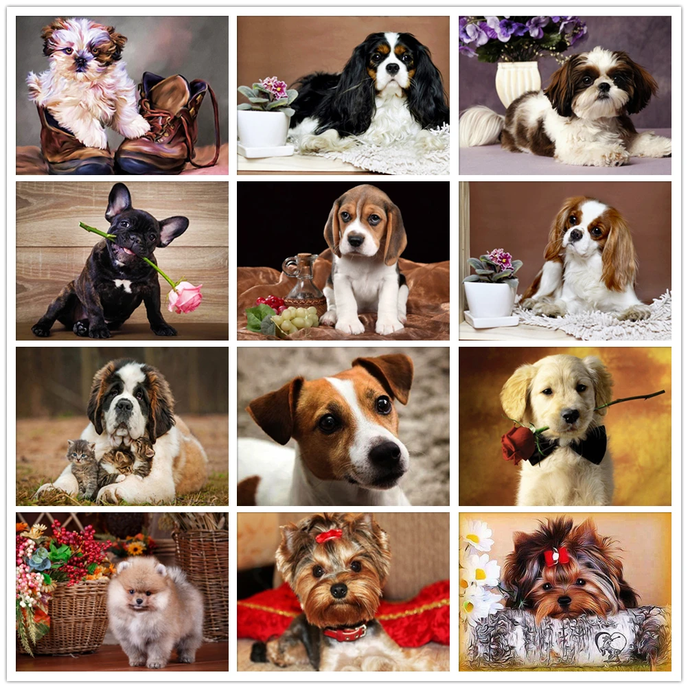 5D алмазная живопись животное собака йоркширский терьер Shih Tzu Алмазная мозаика