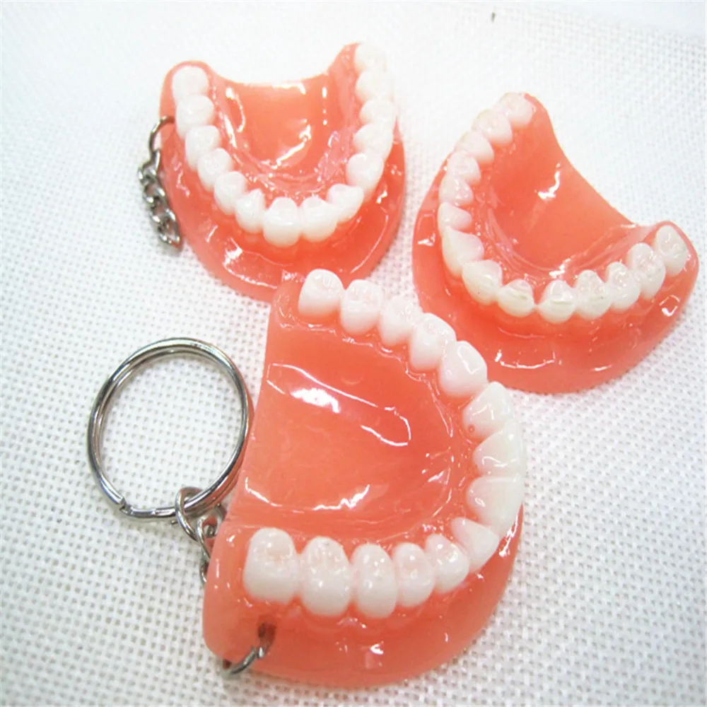 

New Creative Fashion Tooth Key Chain Resin Molar Upper Jaw Model Shape Denture Keychains Pendant Keyring Dental Clinic Gift 2022