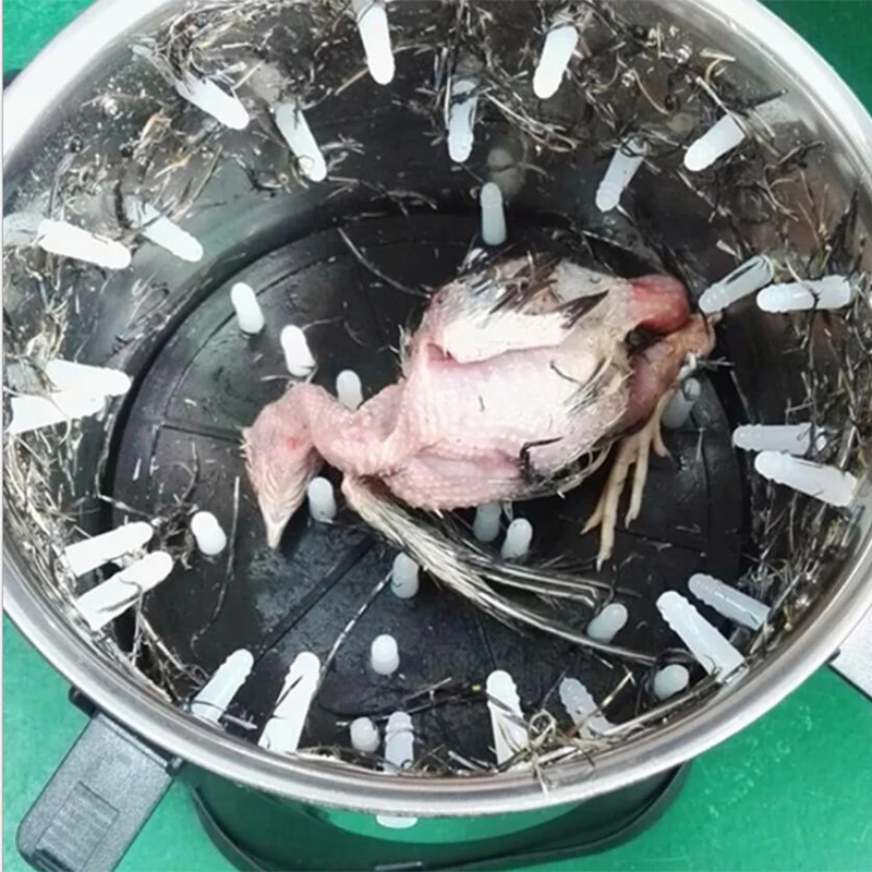 Машинка для выщипывания перепелов 12 В 5000R | Спорт и развлечения