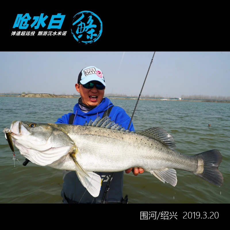 БМ Qiangshuibaitiao дрожащий тонущий гольян рыболовная приманка 4 1 г/8 2 г/13 г/20 г/28 г полный