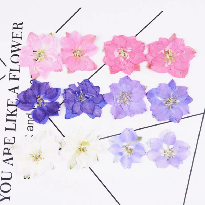 

250pcs Pressed Dried Gaura Lindheimeri Flower With Branch For Epoxy Resin Pendant Necklace Jewelry Making Craft DIY Accessories
