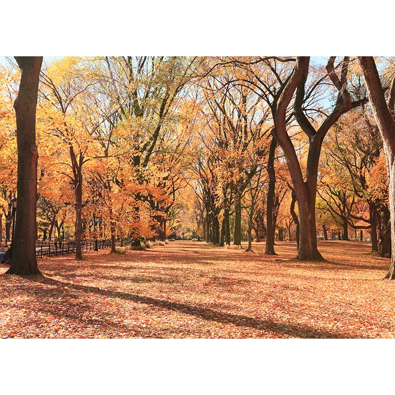 

Vinyl Custom Photography Backdrops Prop Autumn Board Theme Photography Background 20522 (1)