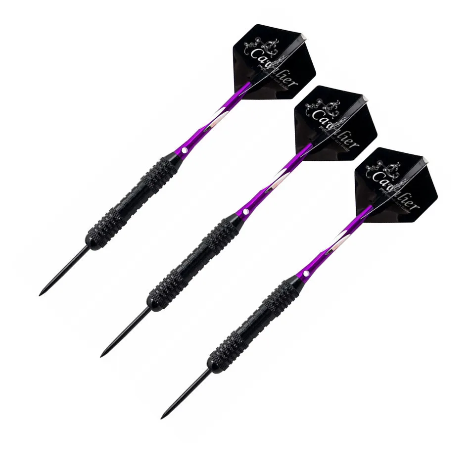 3pcs/set Professional Darts Free Carry Box 22g Black Golden Color Steel Tip Steel Tips Darts Darts With Brass Darts Shafts - Цвет: PURPLE