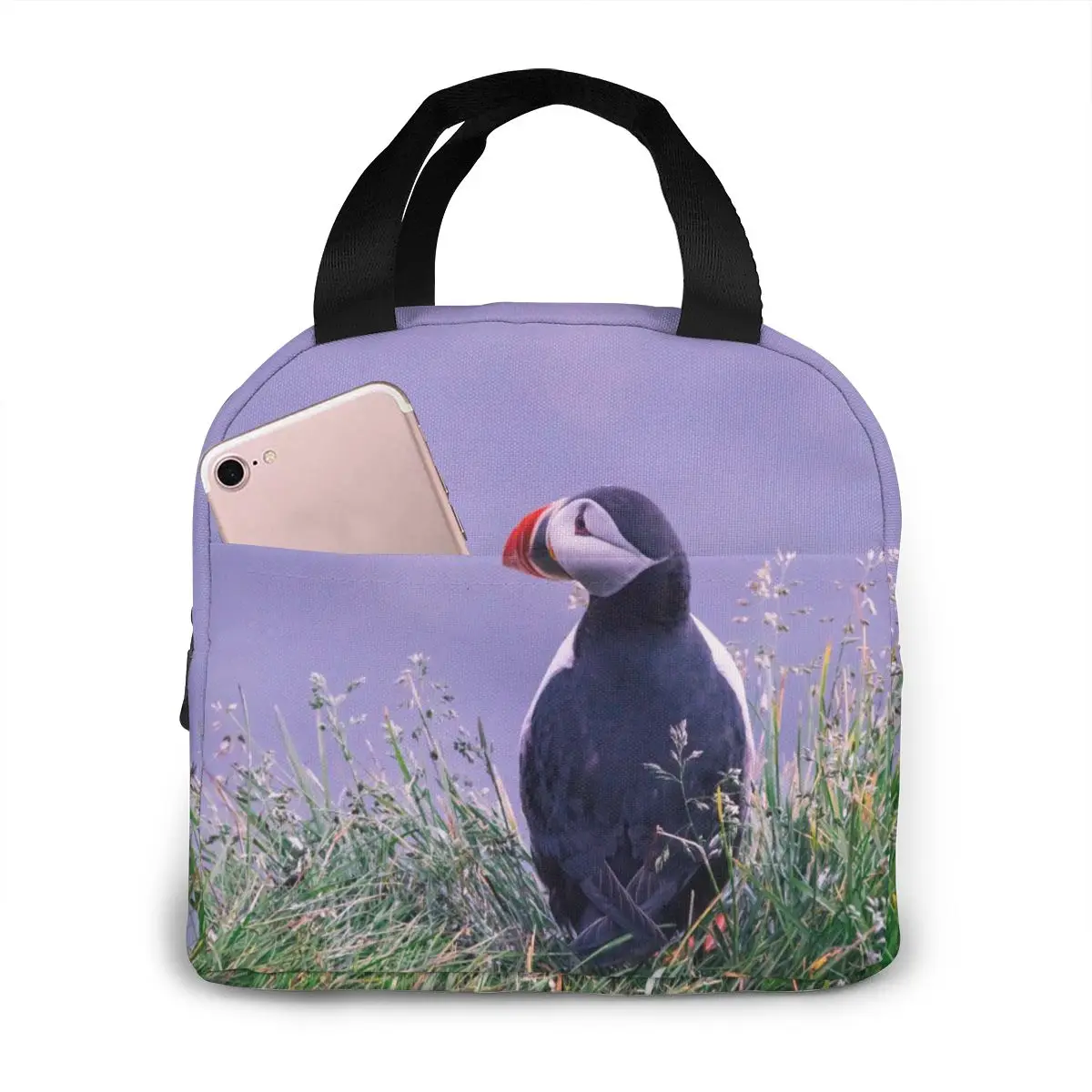 

Изолированная сумка для ланча, тепловые мешковатые сумки-тоуты с изображением птицы и травы, сумка-холодильник для пикника и еды, Ланч-бокс