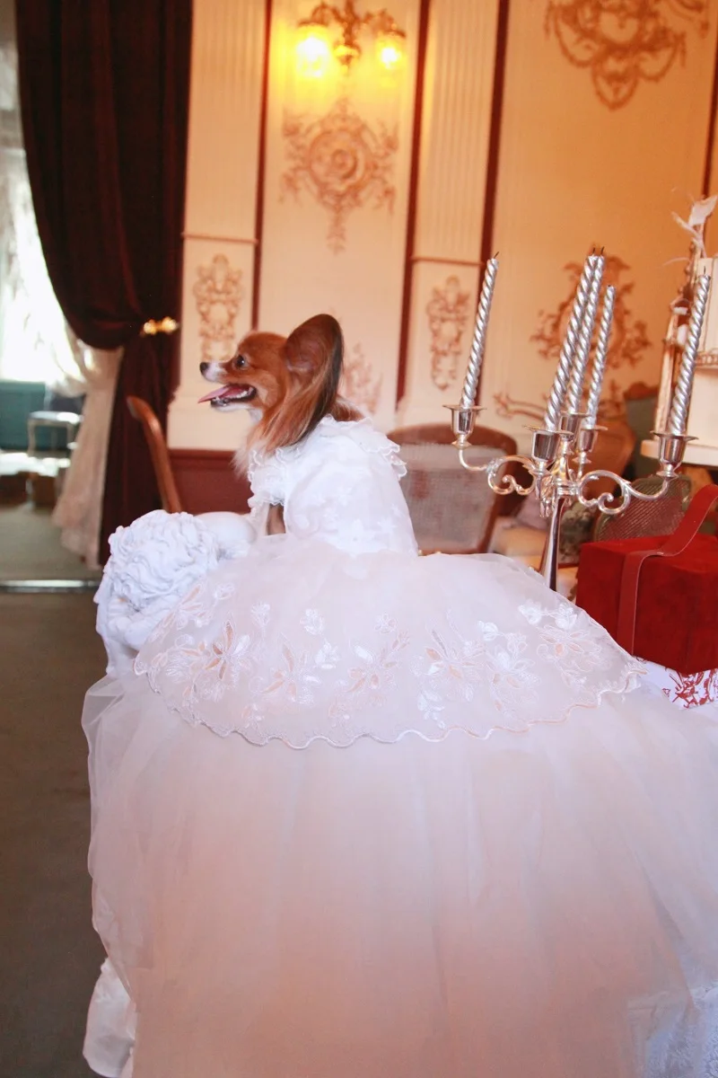 Бесплатная доставка Роскошная Одежда для собак ручной работы свадебное платье