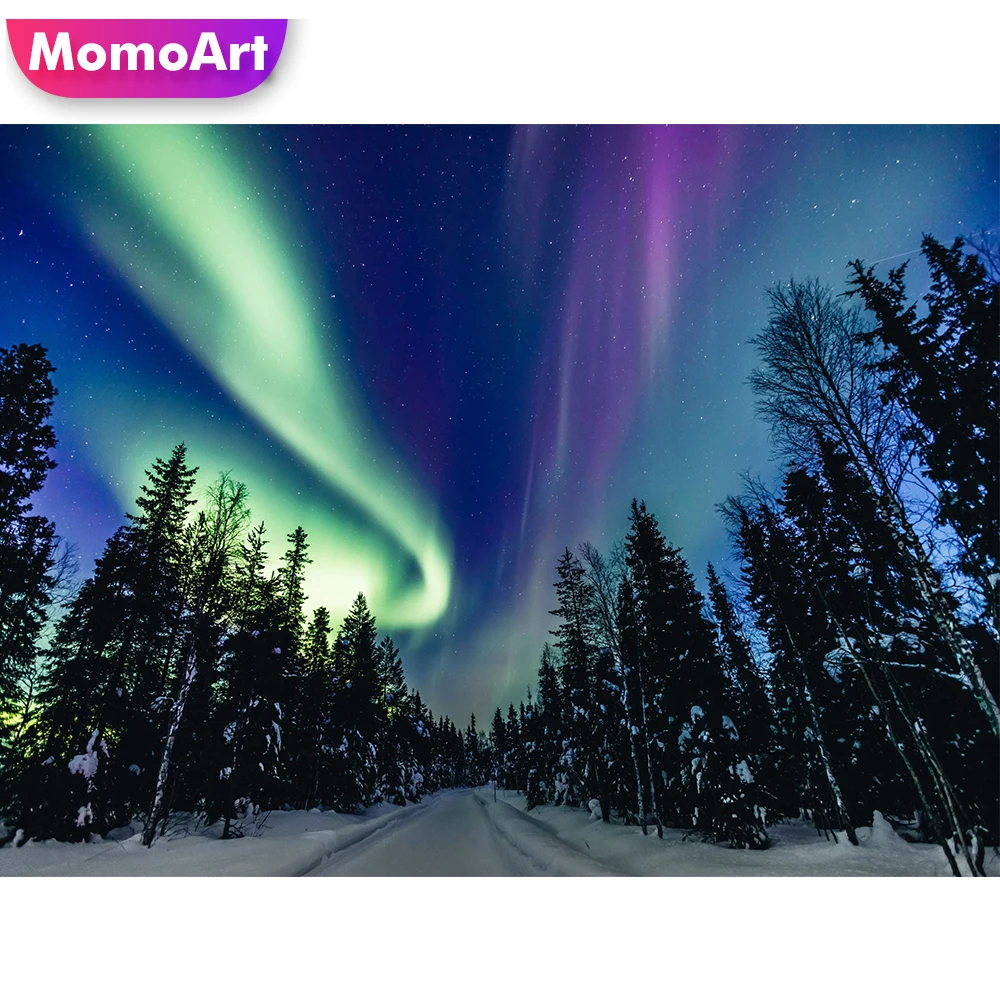 

MomoArt DIY алмазная живопись пейзаж Авроры Новое поступление Алмазная мозаика дерево полная квадратная вышивка крестиком Настенный декор