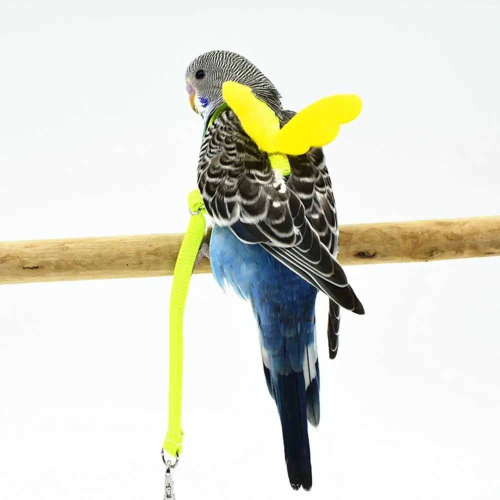

2021 Гибкая Строительная поводок уличная тренировочная Тяговая веревка с крыльями ангела аксессуары для птиц аксессуары для попугаев
