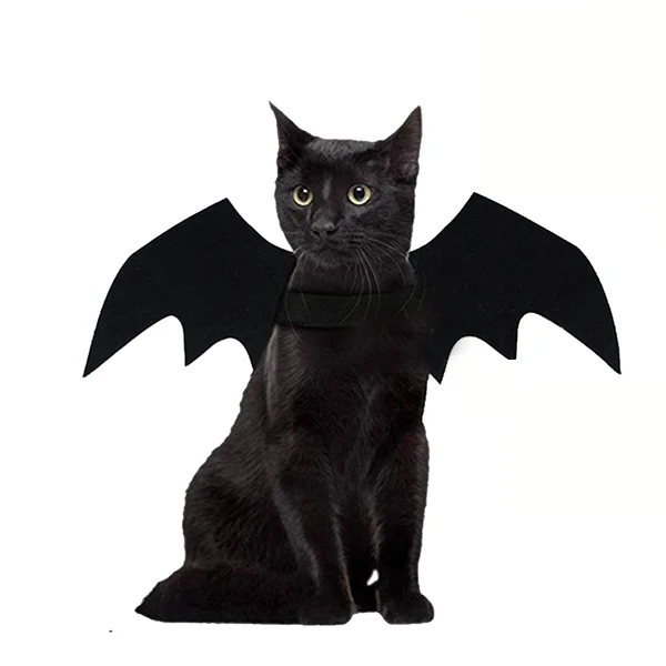Cat Милый костюм для Хеллоуина, маленький костюм для кошки, крылья летучей мыши, крылья для Хэллоуина, аксессуары для Хеллоуина, аксессуары для кошки, украшения для Хэллоуина - Цвет: Cat