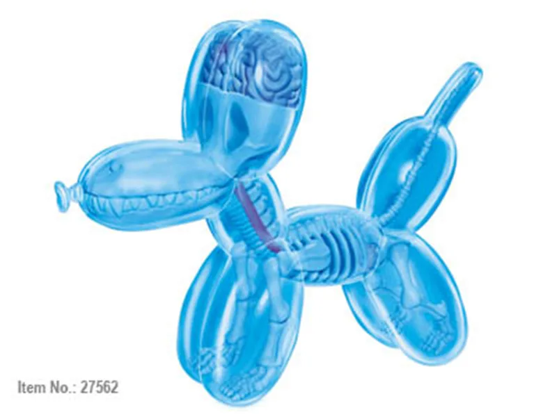 4d синий фиолетовый шар собака прозрачная точка зрения анатомия животных