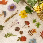 Mohamm 40 листовупаковка, наклейки для скрапбукинга, бумажные наклейки растения, хлопья, стационарные Офисные аксессуары, товары для рукоделия