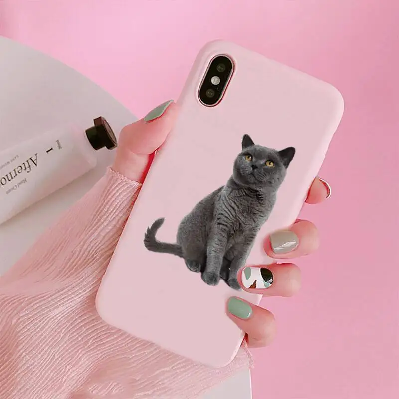 

Cute funny cat Phone Case Candy Color Pink for iPhone 11 pro XS MAX 8 7 6 6S Plus X 5S SE 2020 XR