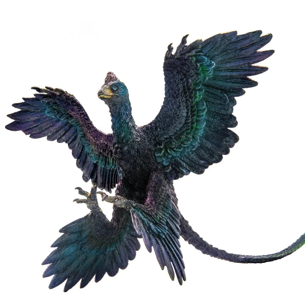 PNSO-dinosaurio prehistorico, modelos: 29 Gaoyuan, El Microraptor-1