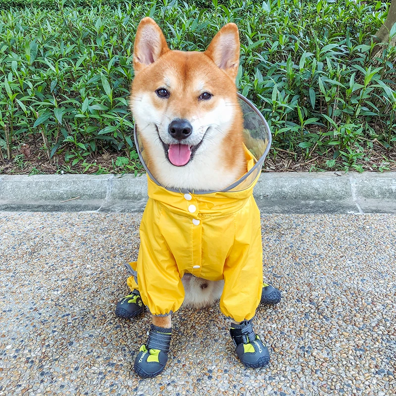 

Teddy Dog Raincoat Four-legged Waterproof Pet Products Rainy Clothes Charlie Bear Schnauzer Shiba Inu Raincoat All Inclusive