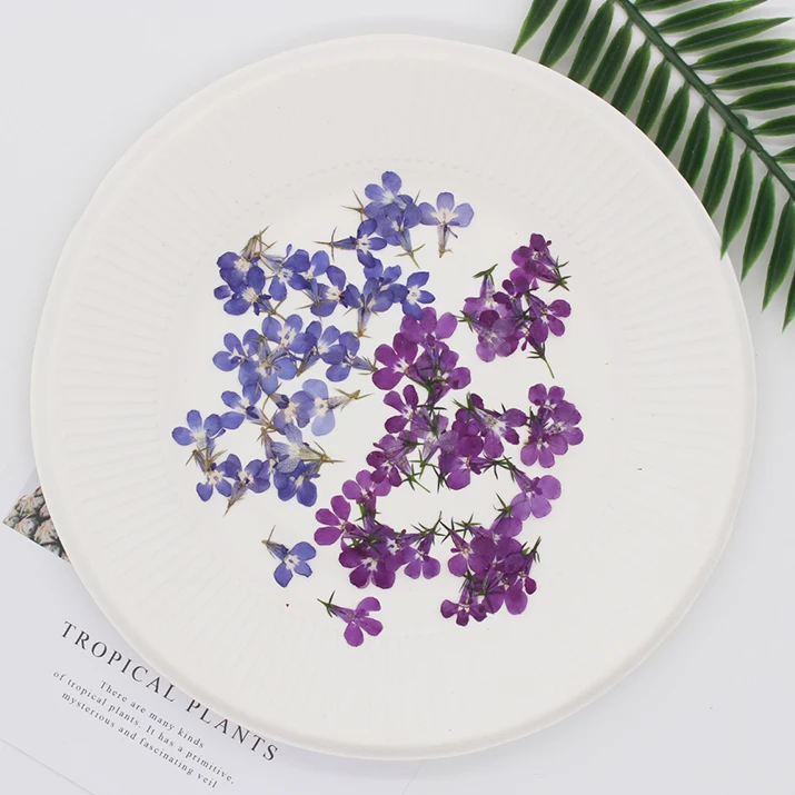 

120pcs/1.5cm,natural tiny flower drop glue phone case bookmark photo frame Decal beauty and nail enhancement material fall decor