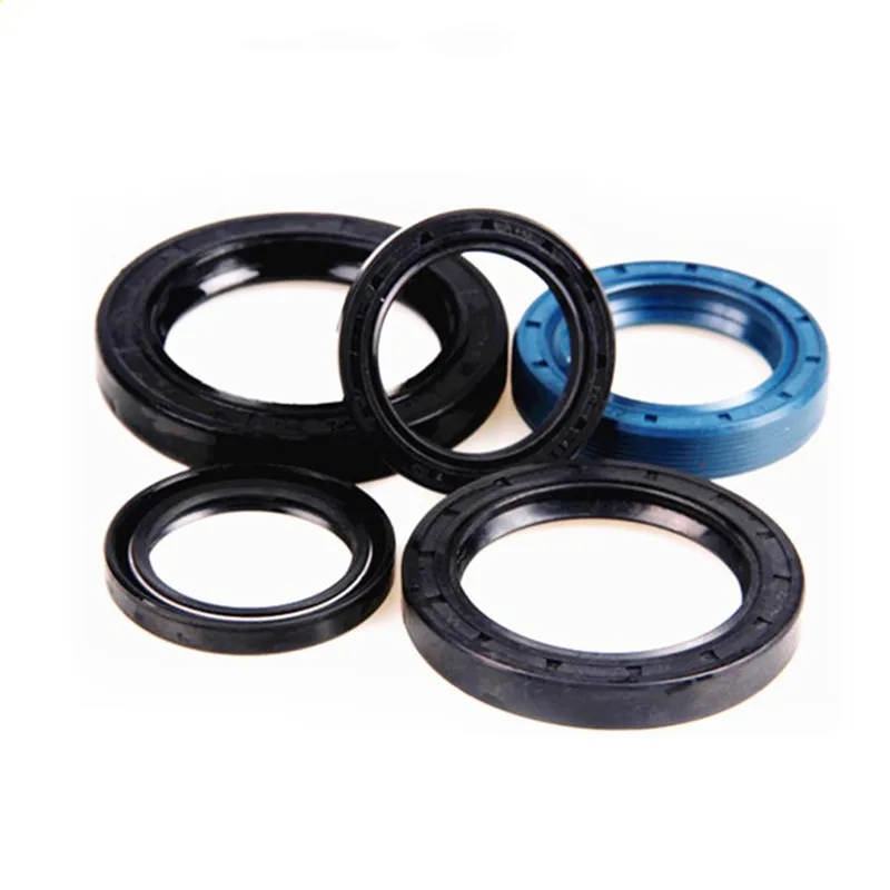 

TC-58*68*70*72*75*80*82*85*86*89*90*92*95*103*7/8/9/10 NBR Shaft Oil Seal Nitrile Covered Double Lip With Garter Spring