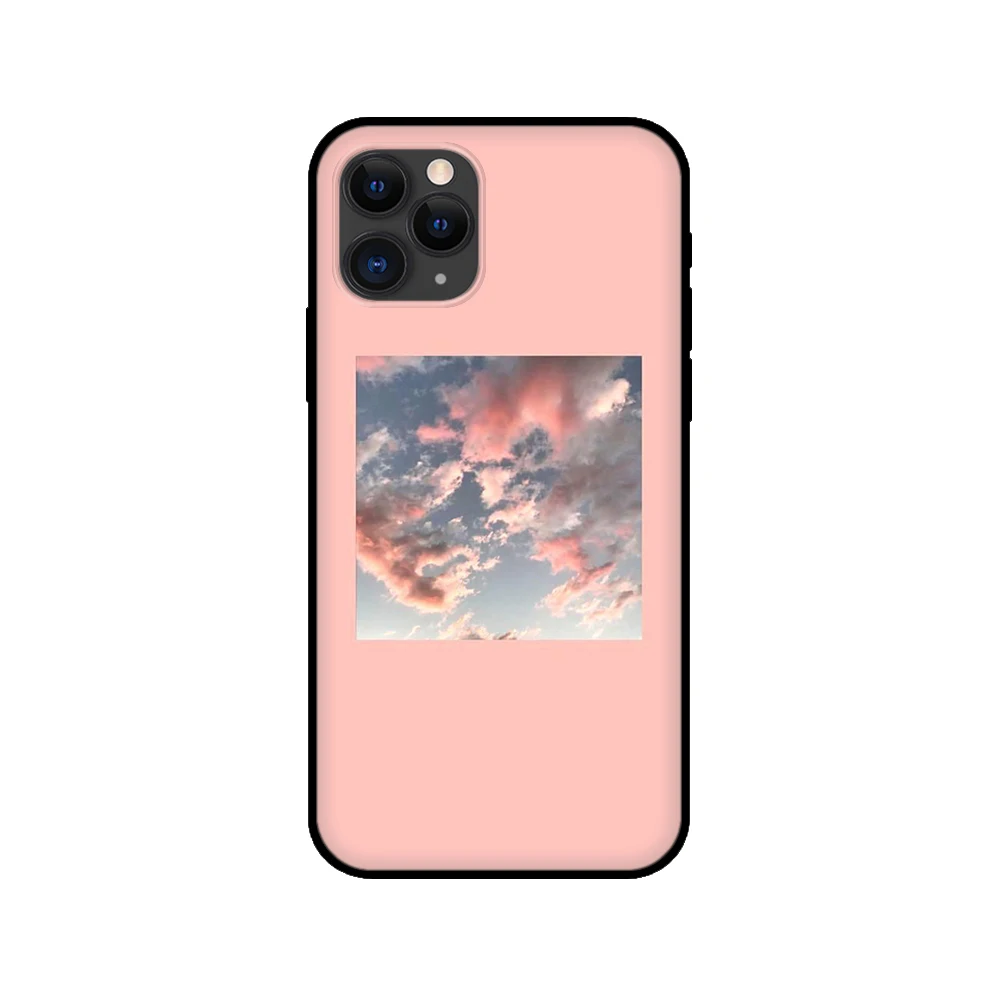 Черный чехол из ТПУ для iphone 5 5s se 6 6s 7 8 plus x 10 XR XS 11 pro MAX розового красного цветов с